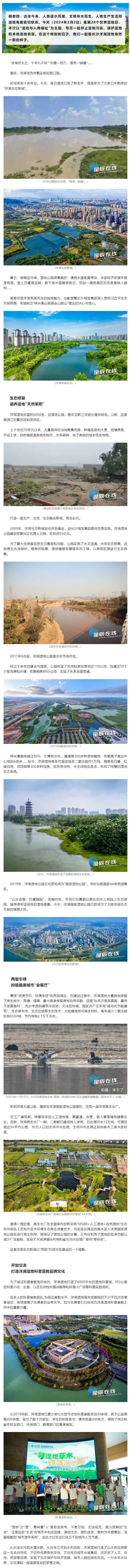 2024世界濕地日：長沙洋湖濕地，詩意里的棲息勝地.png